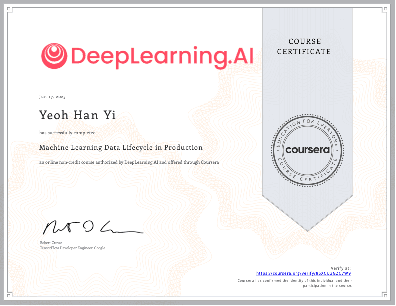 Machine Learning Data Lifecycle in Production